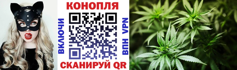 маркетплейс Telegram Куртамыш Бошки Шишки сатива
